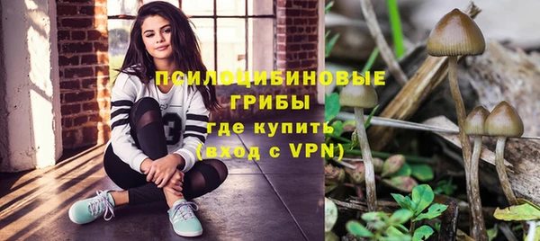 ГАЛЛЮЦИНОГЕННЫЕ ГРИБЫ Алексеевка