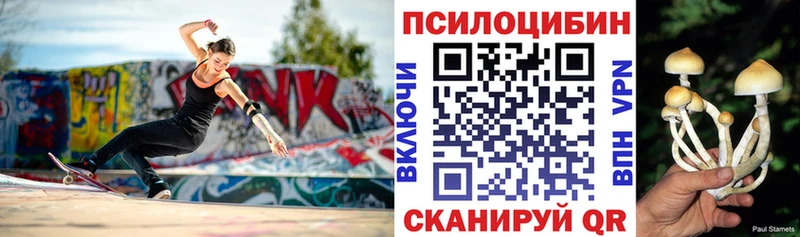 Псилоцибиновые грибы мухоморы  где найти наркотики  Чита 